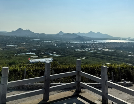 http://www_cetushifeiyi_com.haibosvw.com平度大澤山葡萄園引進(jìn)萊恩德土壤肥料檢測儀， 輕松掌握土壤營養(yǎng)